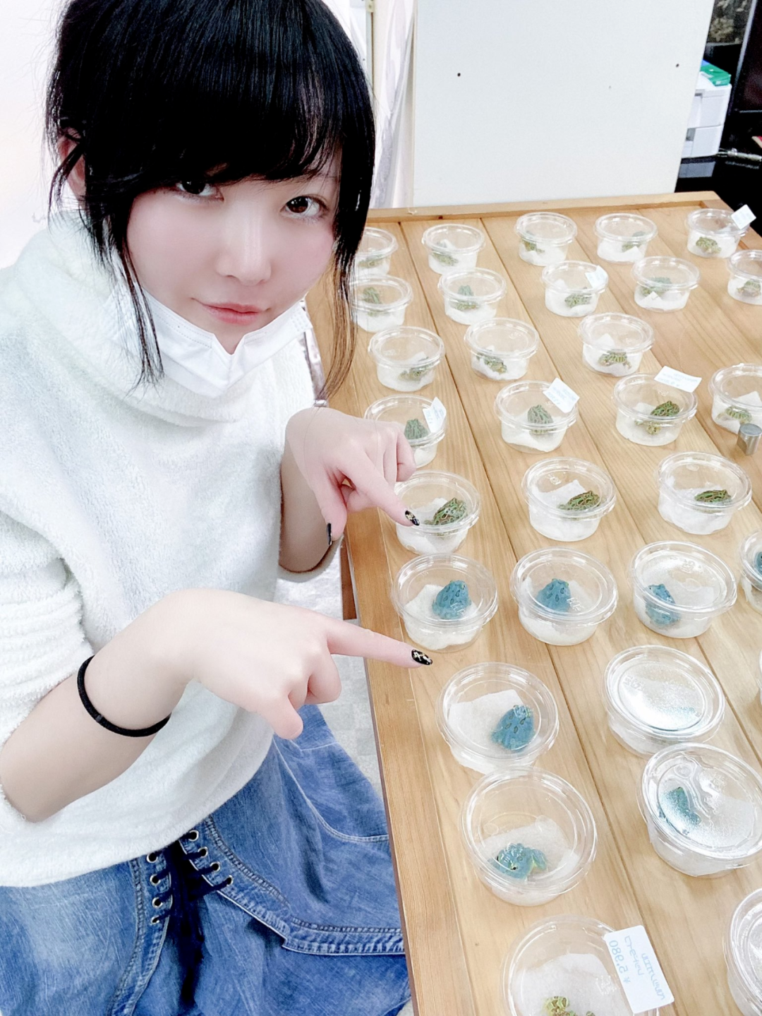 日本角蛙繁育大神的“梦幻天蓝”角蛙，售价堪称业界良心！(图22)