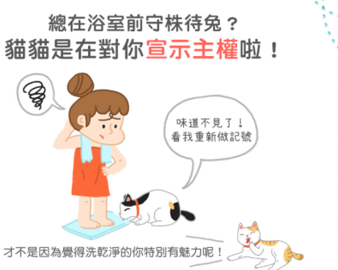 猫咪总在浴室外等你洗好澡，是因为好色吗？知道真相后我不禁笑了(图2)