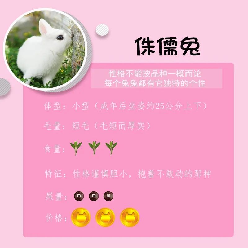 若你内心不够强大，千万不要去养兔子(图5)