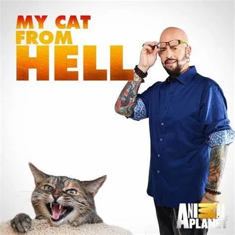 让猫咪像人一样蹲厕所是害猫！多久铲屎一次对猫最好？(图4)