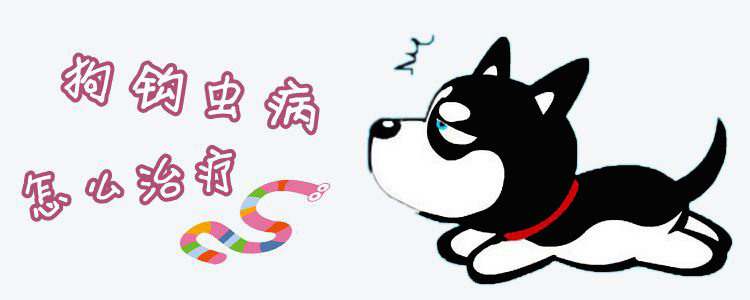 狗钩虫病怎样调节