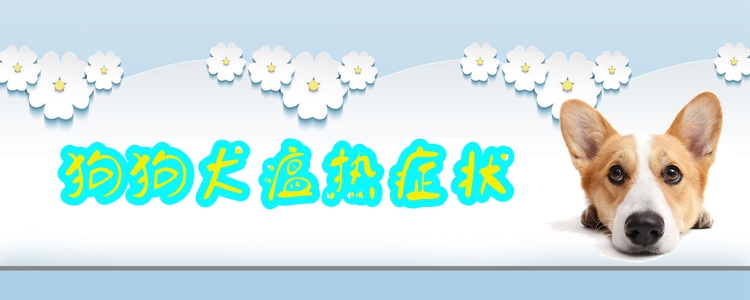 狗狗犬瘟热症候有哪些