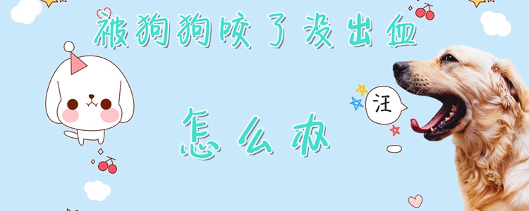 被狗狗咬了没出血怎样办