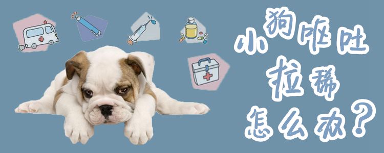 小狗拉稀吐逆怎样办