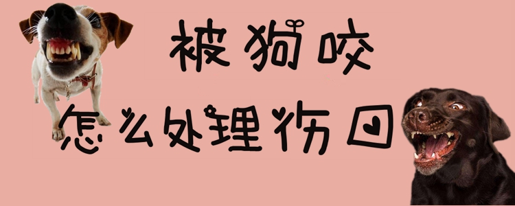 被狗咬怎样处置伤口