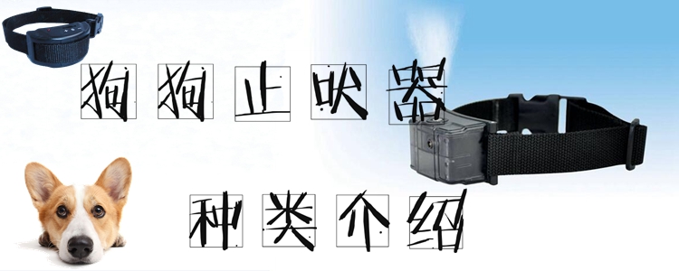 狗狗止吠器品种引睹