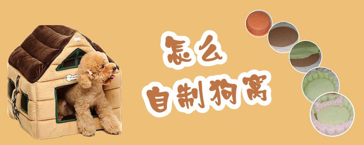 怎样自治狗窝