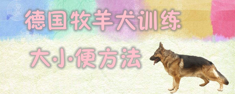 德国牧羊犬练习巨细便有哪些方式