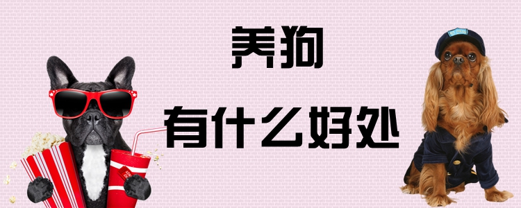 养狗有什么用处