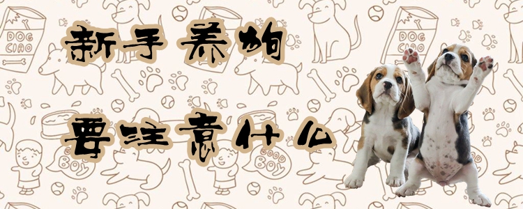生人养狗要注沉什么