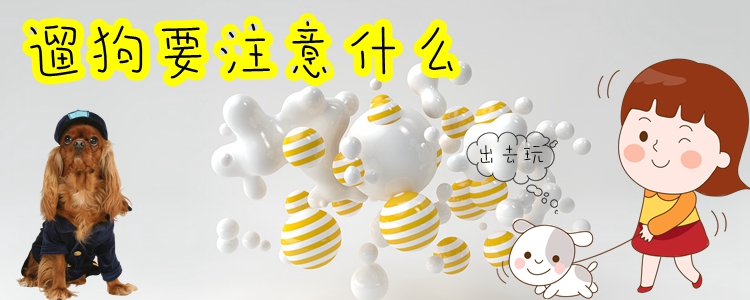 遛狗要注意什么(图1)