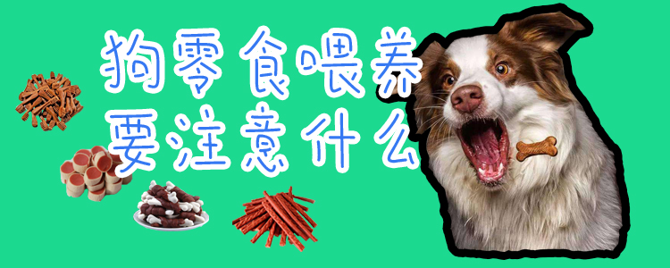 狗零食豢养要注沉什么
