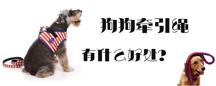 狗狗牵引绳有什么用处