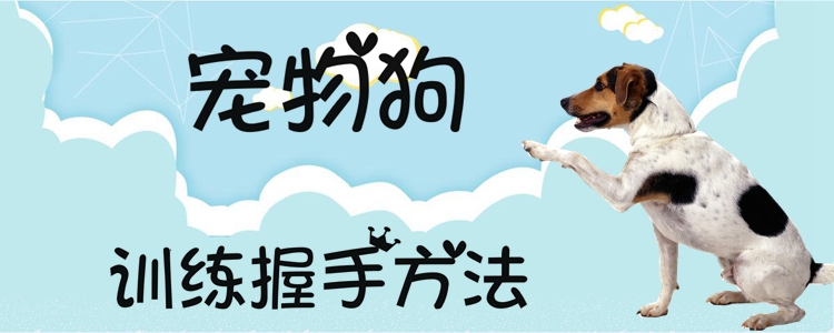 宠物狗练习握手方式