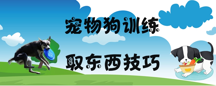 宠物狗练习取物品本领有哪些