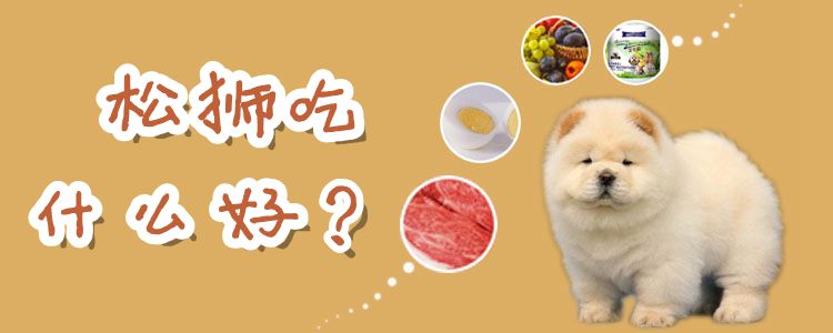 松狮吃什么佳