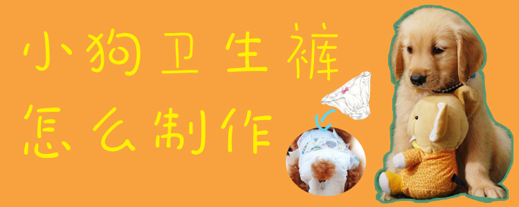 小狗卫生裤怎样创造