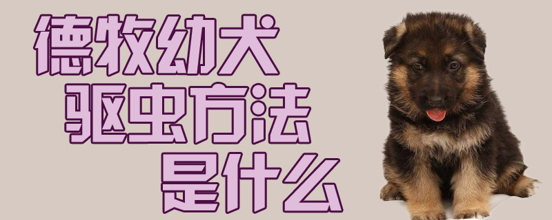 德牧幼犬驱虫方式是什么