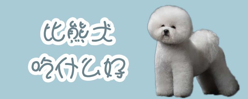 比熊犬吃什么佳