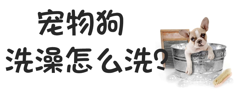 宠物狗沐浴怎样洗