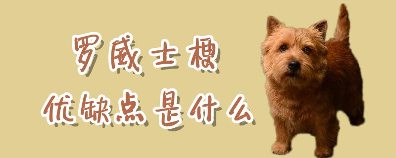 罗威士梗优缺陷是什么