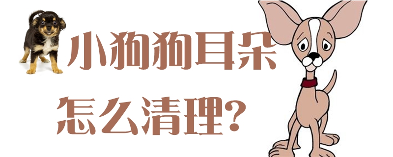 小狗狗耳朵怎样清算