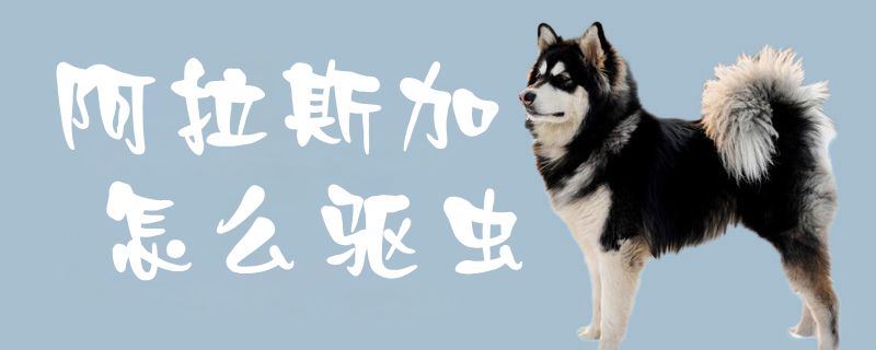 阿拉斯加怎样驱虫1