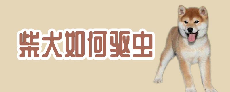 柴犬怎么样驱虫