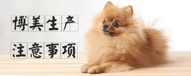 博美生产注意事项(图1)