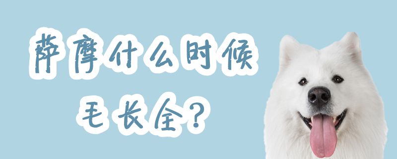 萨摩什么时间毛长全
