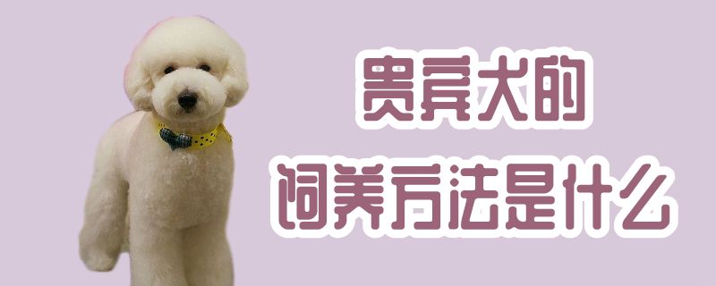 客人犬的豢养方式是什么