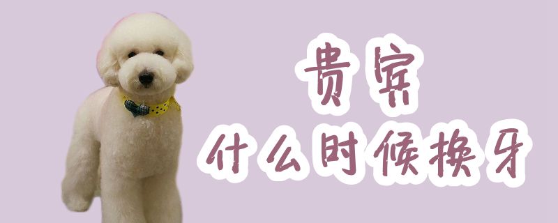 客人什么时间换牙