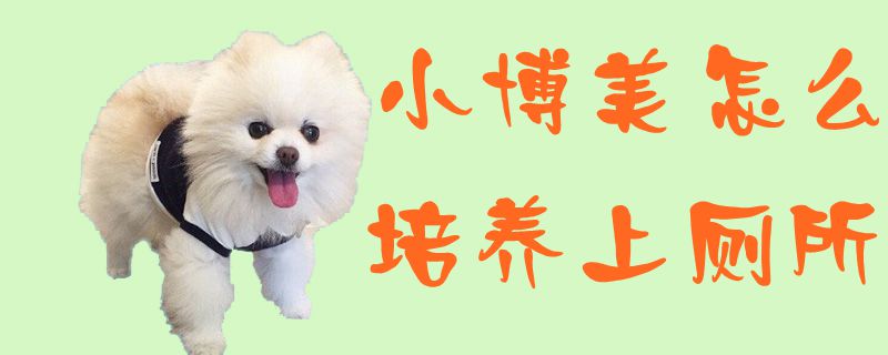 小专美怎样培植上茅厕1