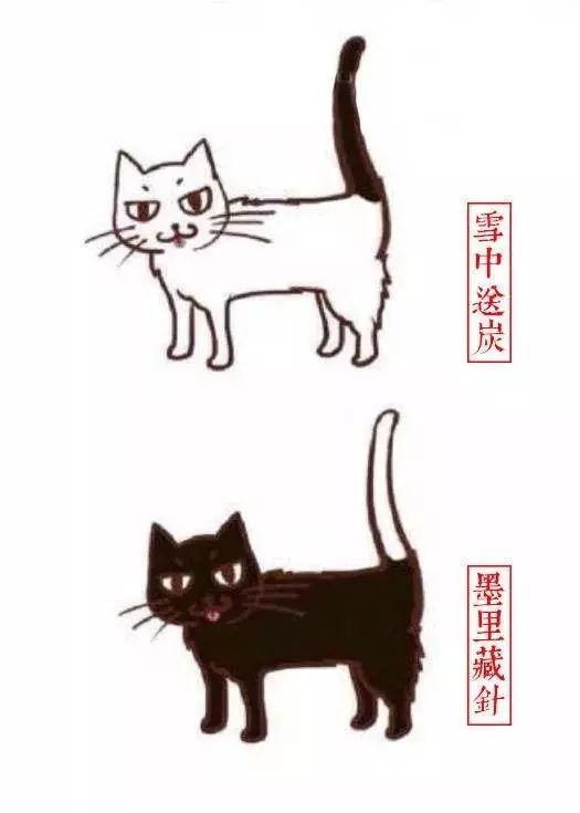 中国人最喜欢养的五种猫！你家主子入选了吗？(图4)
