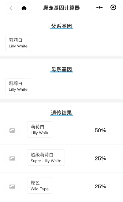 重新认识睫角守宫品系 —— “莉莉白”拾年(图7) 重新认识睫角守宫品系 —— “莉莉白”拾年(图7)