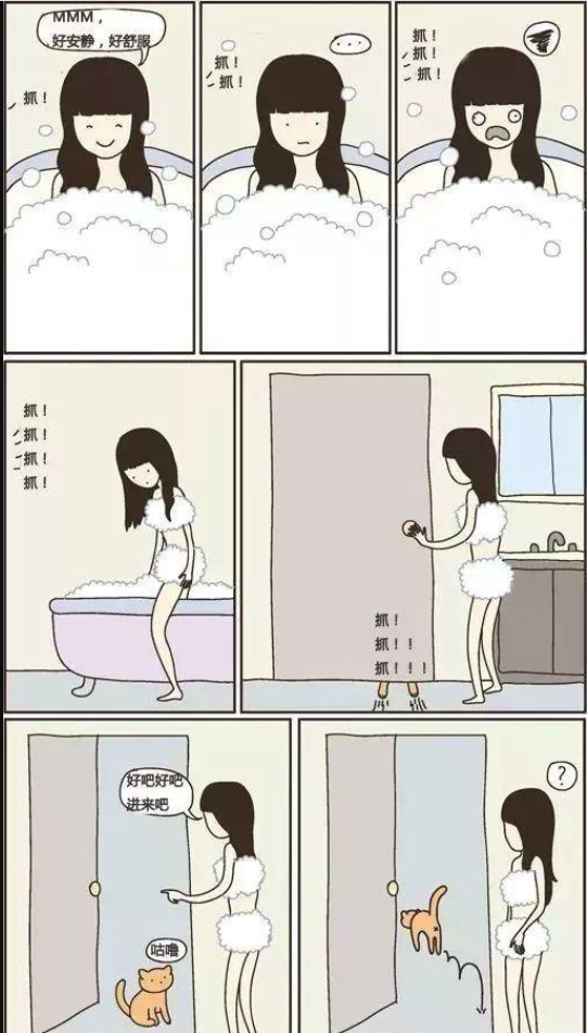 猫咪总在浴室外等你洗好澡，是因为好色吗？知道真相后我不禁笑了(图7)