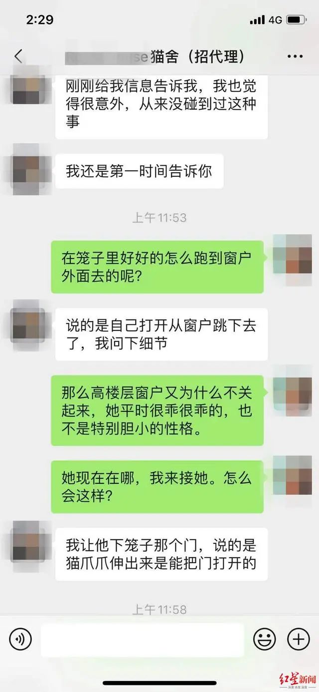 3万元布偶猫配种时跳楼死亡！做好一件事，猫狗寿命增加三成(图3)