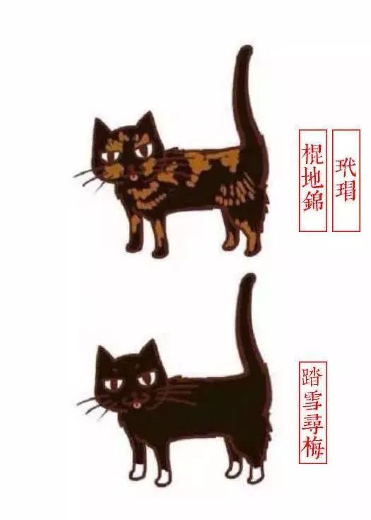 中国人最喜欢养的五种猫！你家主子入选了吗？(图6)