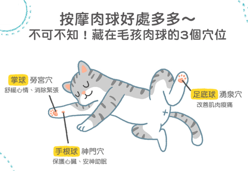 你家猫咪小肉垫是啥色？不仅萌还有这些秘密！按摩脚底让喵更健康(图10)