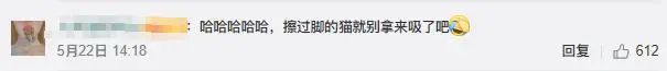 小姐姐亲猫，脸上竟长了「脚气」！养宠这些卫生问题千万别忽略(图6)