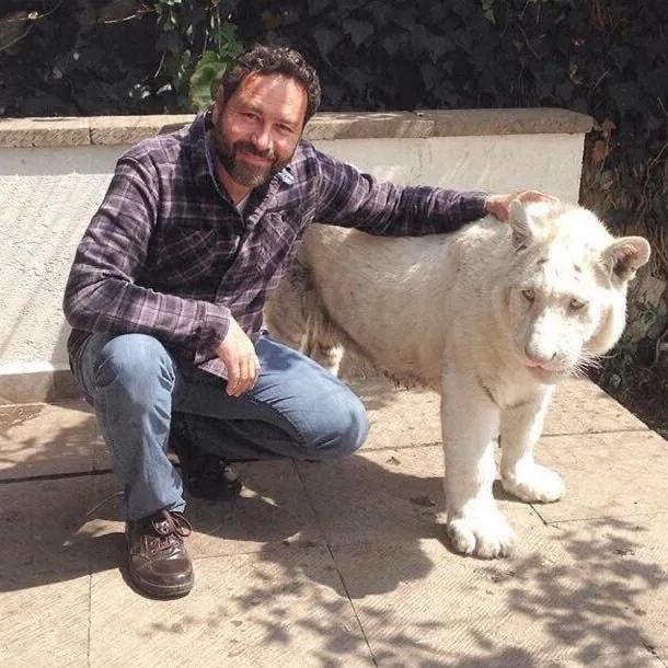 珊瑚蛇被野猫“剥皮”，手术很成功！但兽医的点评更值得赞赏(图10)