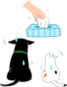 给猫「洗屁股」比洗澡更重要！猫做这沙雕动作时，要加倍注意(图5)