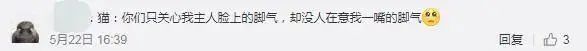 小姐姐亲猫，脸上竟长了「脚气」！养宠这些卫生问题千万别忽略(图5)