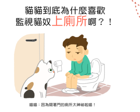 猫咪总在浴室外等你洗好澡，是因为好色吗？知道真相后我不禁笑了(图6)