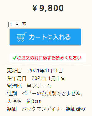 日本角蛙繁育大神的“梦幻天蓝”角蛙，售价堪称业界良心！(图28)