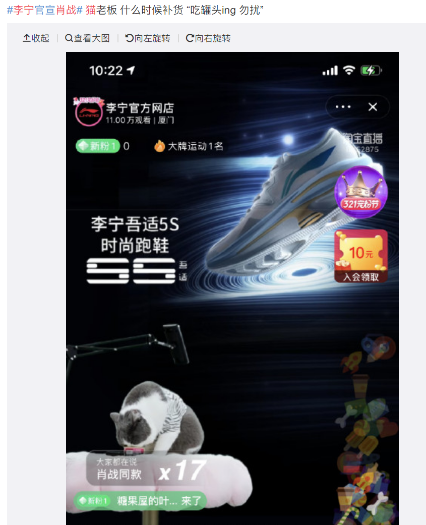 肖战代言李宁，直播间却被猫咪吃罐头抢镜！新疆棉花也不如它软萌(图6)