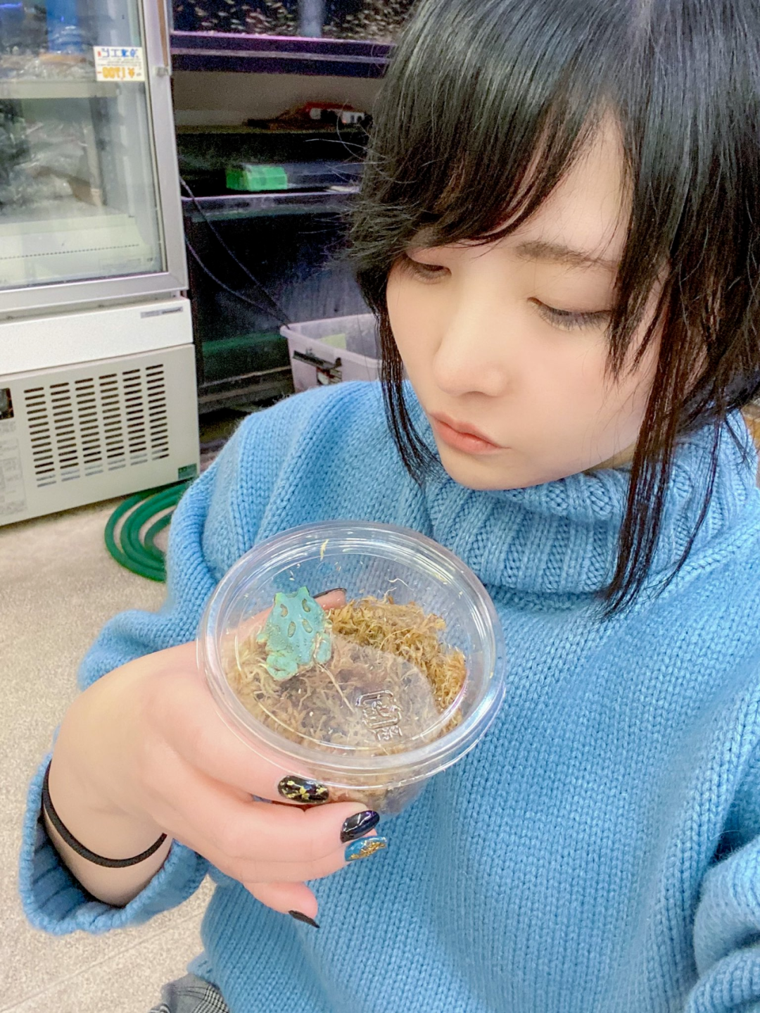 日本角蛙繁育大神的“梦幻天蓝”角蛙，售价堪称业界良心！(图21)