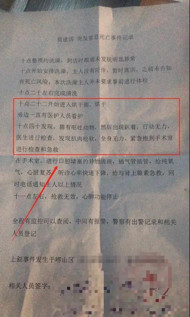 猫咪洗澡后这一步骤完全没必要！又有几只猫接连因此不幸死亡(图4)