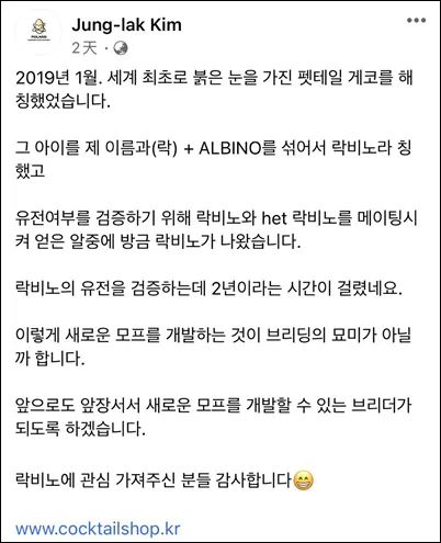 全球首例肥尾守宫红眼白化，历经两年终于基因验证成功！(图2)
