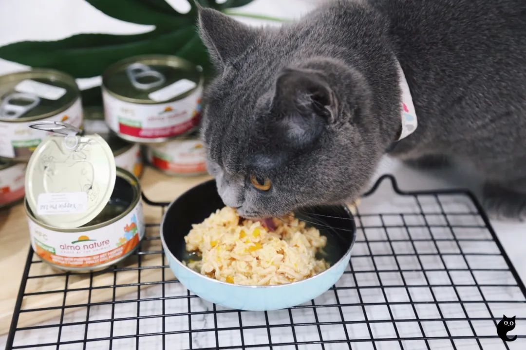 新研究发现这种宠粮让猫狗消化更好！买贵的猫粮反而更省钱(图3)